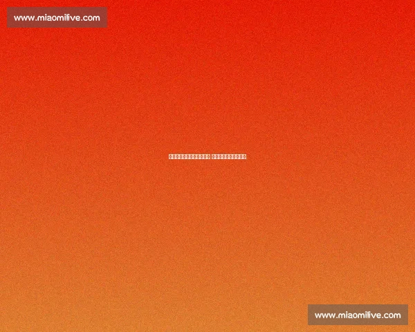 洪州大桥见证万人双向奔赴 南昌夜跑点燃全城热恋