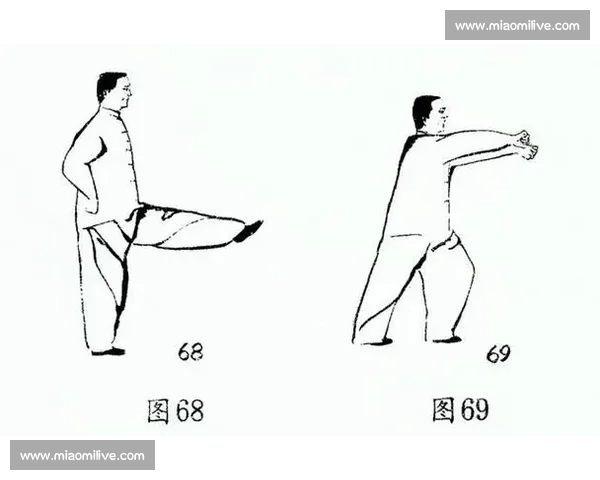 传统武当内家拳与现代散打实战体系的理念碰撞与胜负探讨深度解析